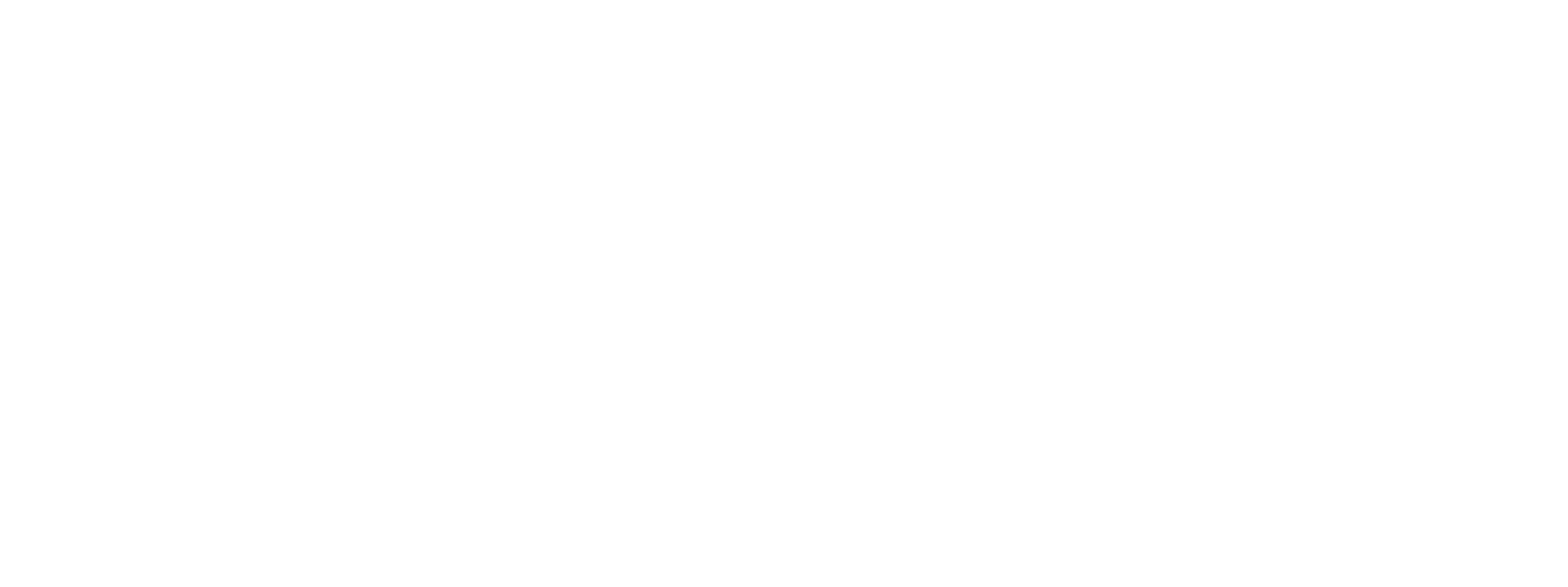 iran rover logo